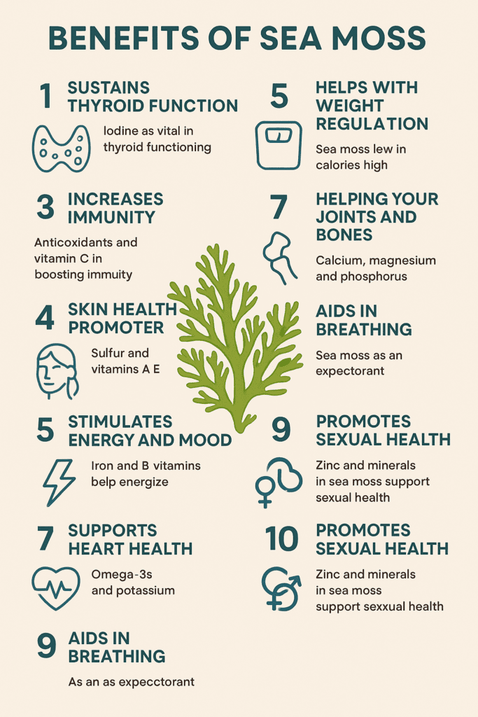 Top 10 Established Health Benefits of Sea Moss